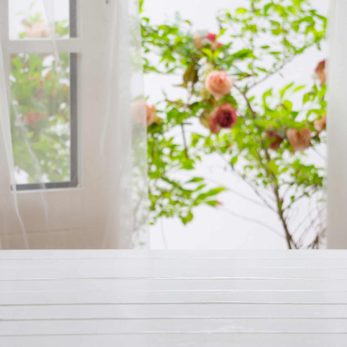 Window Repair Questions and Answers Ep. 2 - SPRING IS HERE!