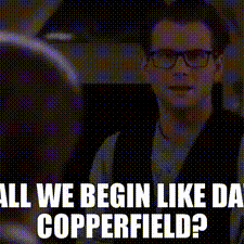 Windows, Screens and Bears oh My!