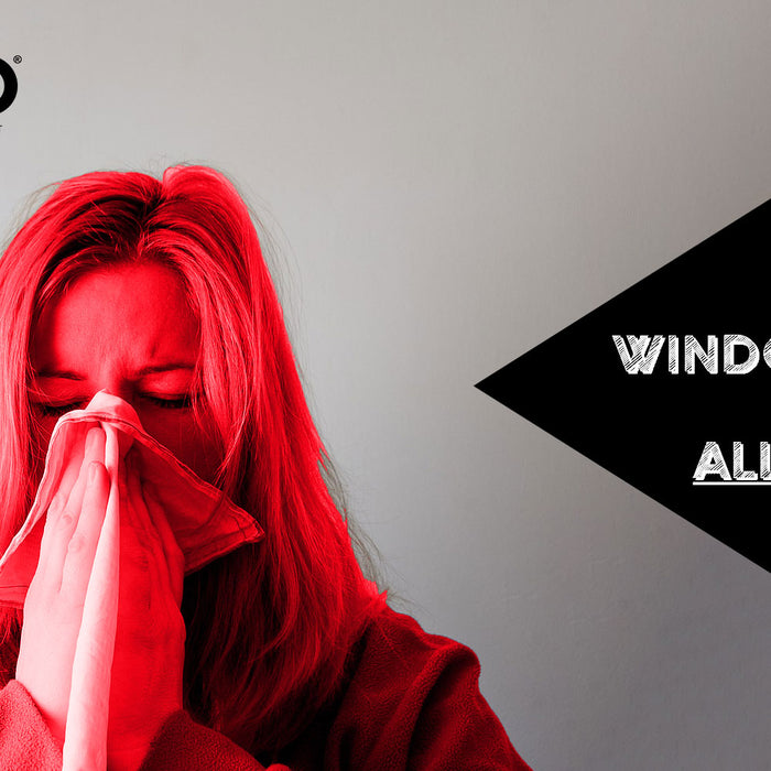 Improving Indoor Air Quality for Allergy Sufferers: Window Repair Tips and Tricks