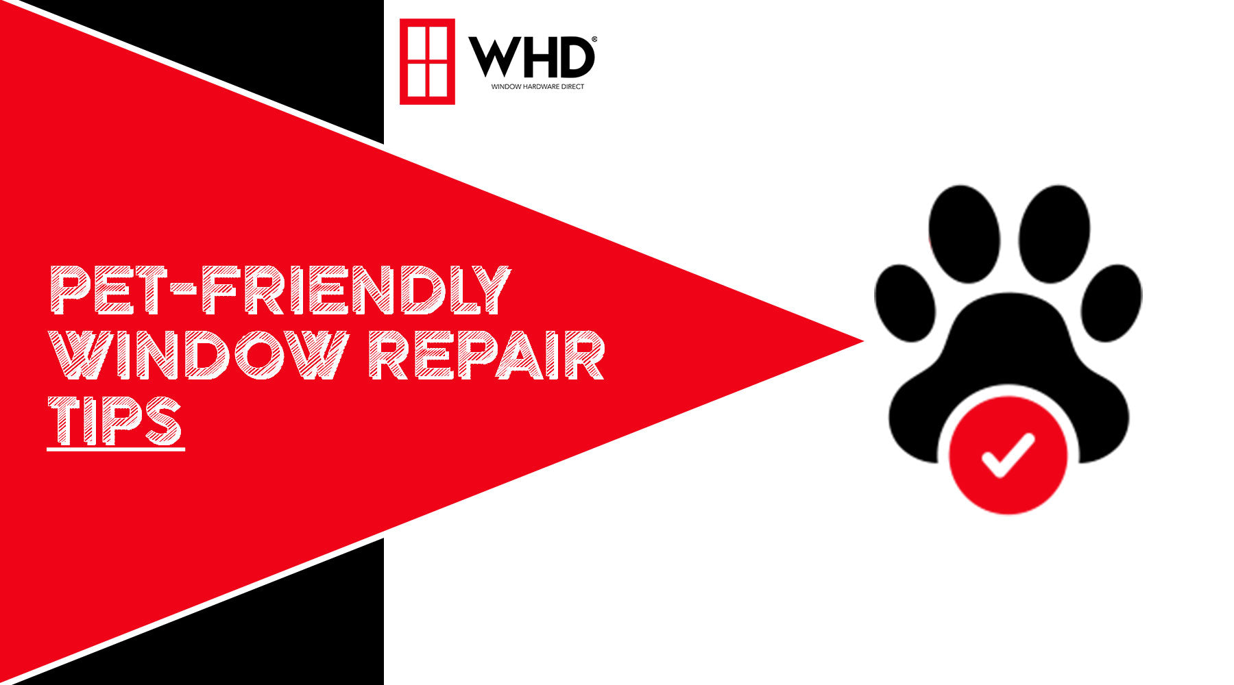 Pet-Friendly Home Window Repair: Ensuring Safety and Comfort