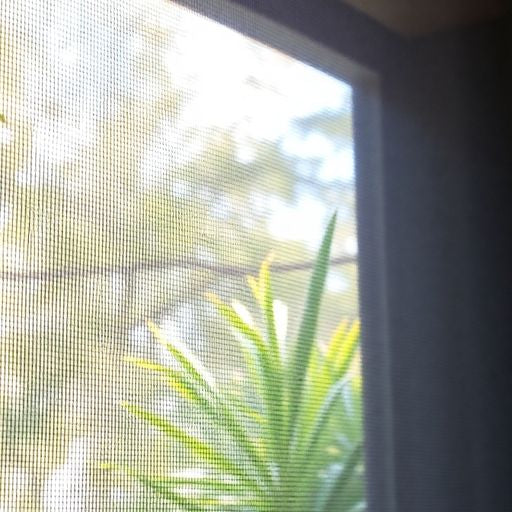 Photograph of a well-maintained screen door.
